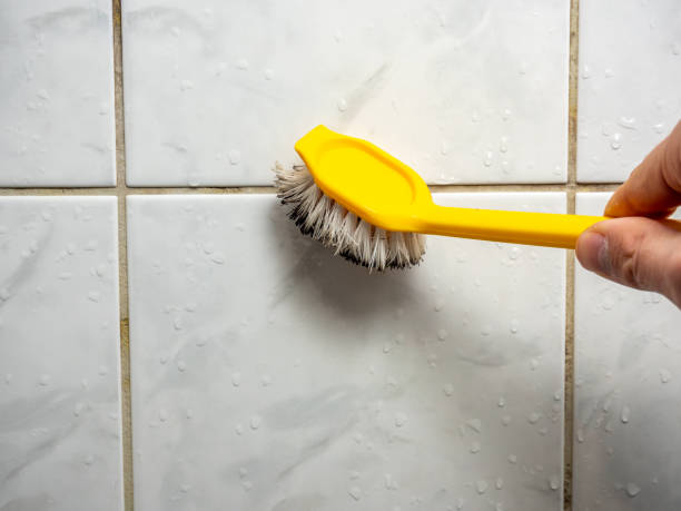 Best Attic Mold Removal  in Diablo Grande, CA