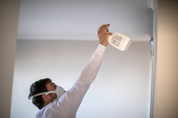Best Fast Mold Removal  in Diablo Grande, CA