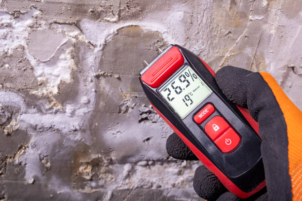 Best Fast Mold Removal  in Diablo Grande, CA