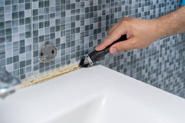 Best Toxic Mold Removal  in Diablo Grande, CA