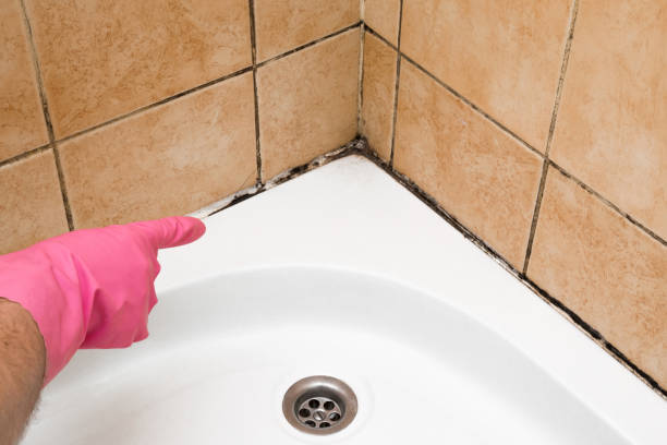Best Mold Cleaning Services  in Diablo Grande, CA